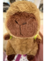 Kapibara z plecakiem żółwia